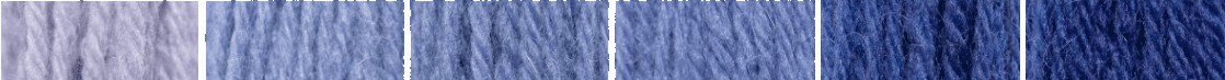 photo: Appletons Hyacinth 891-896