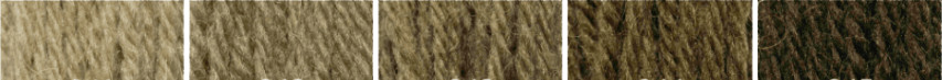 photo: Olive Green 241-248