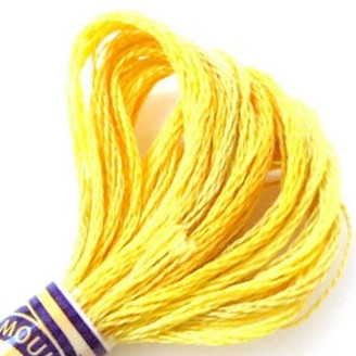 photo: fil dmc mouline variations 4075