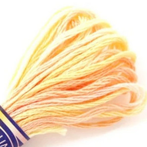 photo: fil dmc mouline variations 4090