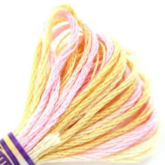 photo: fil dmc mouline variations 4095