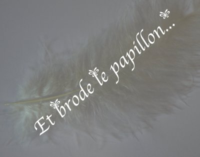 photo: Plume creme
