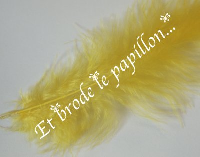 photo: Plume jaune or