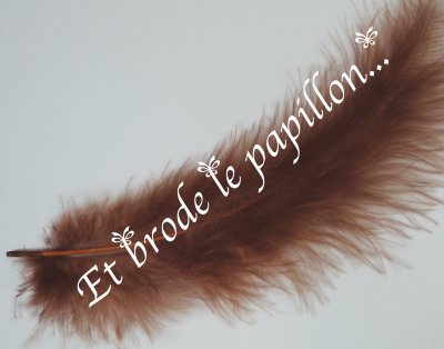 photo: Plume marron