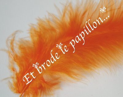 plumes