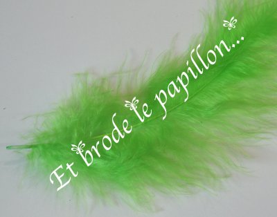 photo: Plume vert clair