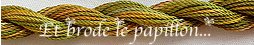 photo: ophir-26.jpg