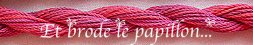 photo: ophir-27.jpg