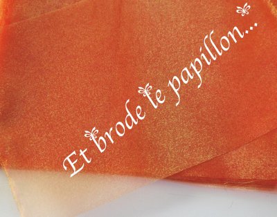 photo: organza orange