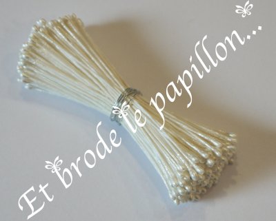 petite etamine blanc nacre