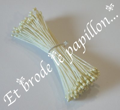 petite etamine creme nacre