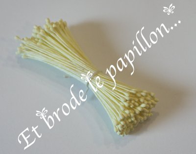 petite etamine jaune mat