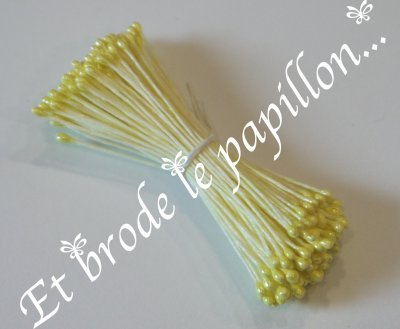 petite etamine jaune nacre