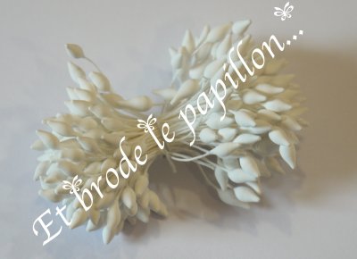 etamine grande pointe blanc mat